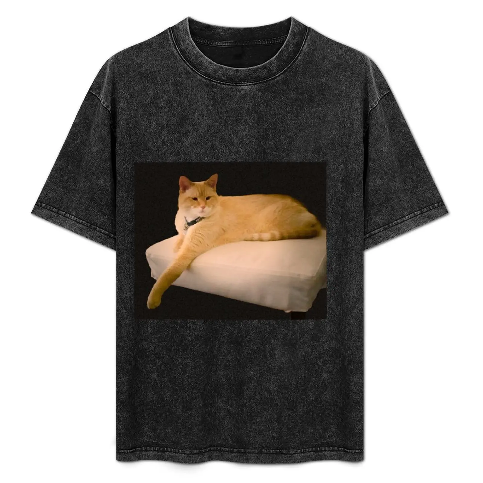 Cats Rule T-Shirt Work Utility Casual Tee Shirt
Cats Rule T-Shirt Work Utility Casual Tee Shirt