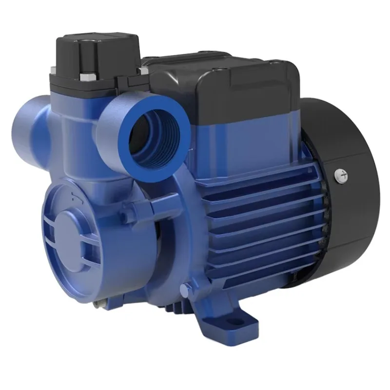 0.25kW 1/3HP Low Noise Automatic Booster Pump for Roof Water Tank Pressurization with Flow Switch
0.25kW 1/3HP Low Noise Automatic Booster Pump for Roof Water Tank Pressurization with Flow Switch