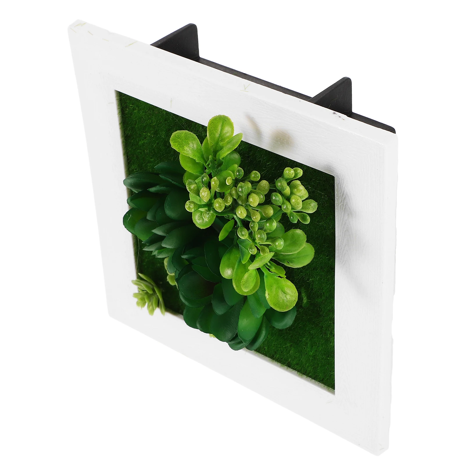 Artificial Succulent Plant Frame Wall Mounted Faux Greenery Photo Frame Minimalist Plants Wall Art for Home Living Office
Artificial Succulent Plant Frame Wall Mounted Faux Greenery Photo Frame Minimalist Plants Wall Art for Home Living Office