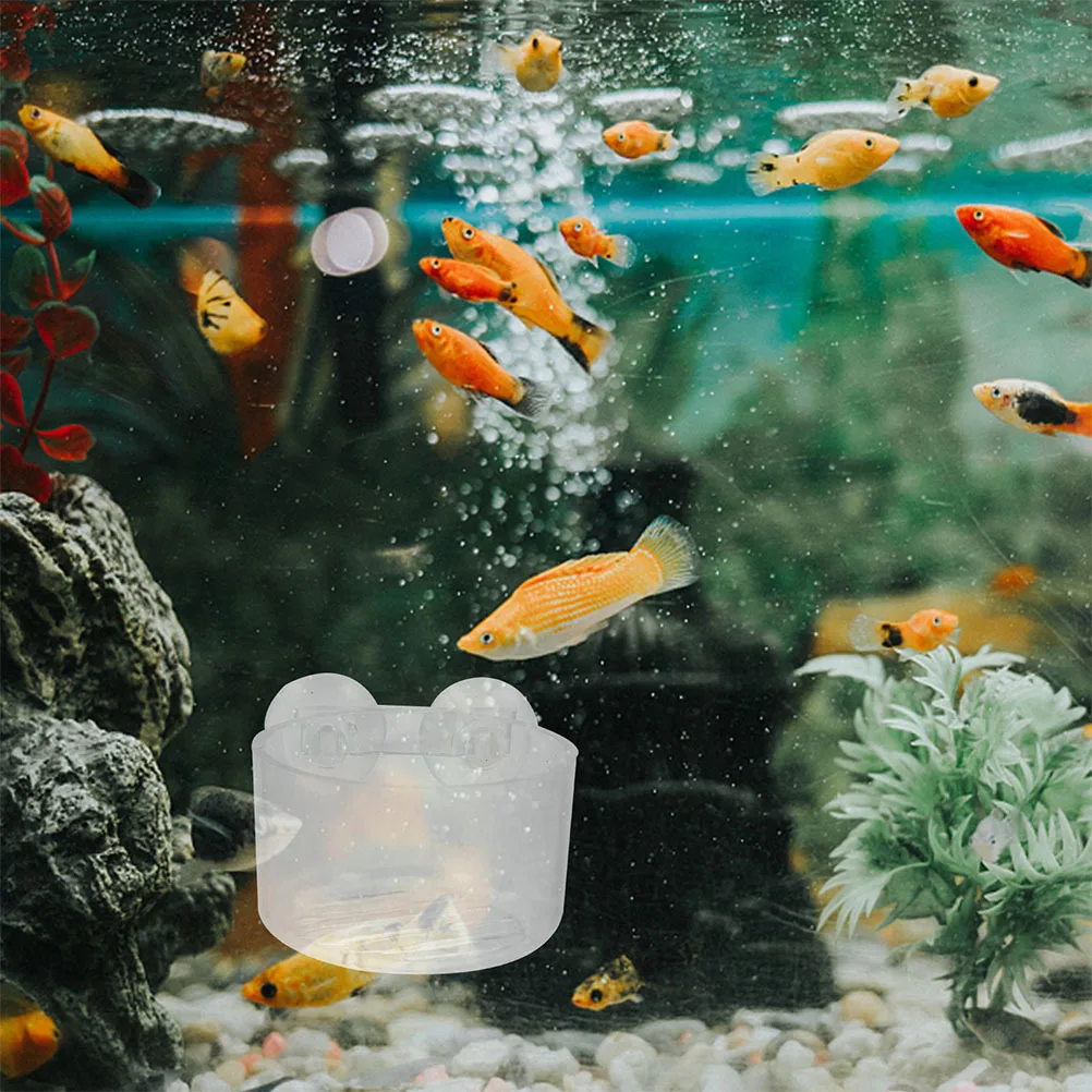 10Pcs Acrylic Aquarium Plant Holder Transparent Multiuse Design Fish Tank Supplies Easy Clean Durable Aquarium Plant Holder
10Pcs Acrylic Aquarium Plant Holder Transparent Multiuse Design Fish Tank Supplies Easy Clean Durable Aquarium Plant Holder