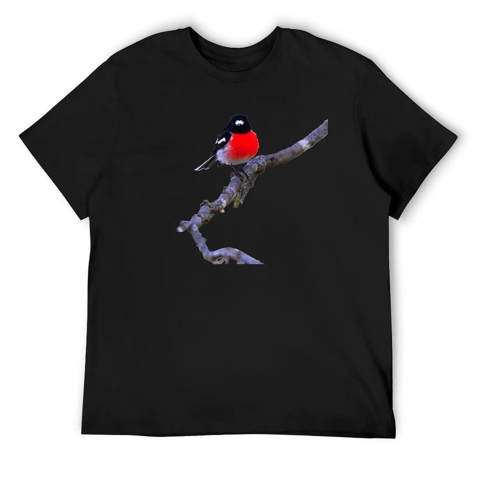 Scarlet Robin On Black T-Shirt for a boy shirts graphic cotton graphic tees mens graphic t-shirts
Scarlet Robin On Black T-Shirt for a boy shirts graphic cotton graphic tees mens graphic t-shirts