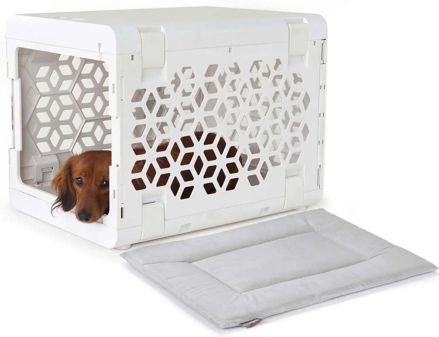 PAWD Collapsible Dog Crate with Washable Bed - Lightweight Portable Kennel for Small Dogs - White
PAWD Collapsible Dog Crate with Washable Bed - Lightweight Portable Kennel for Small Dogs - White