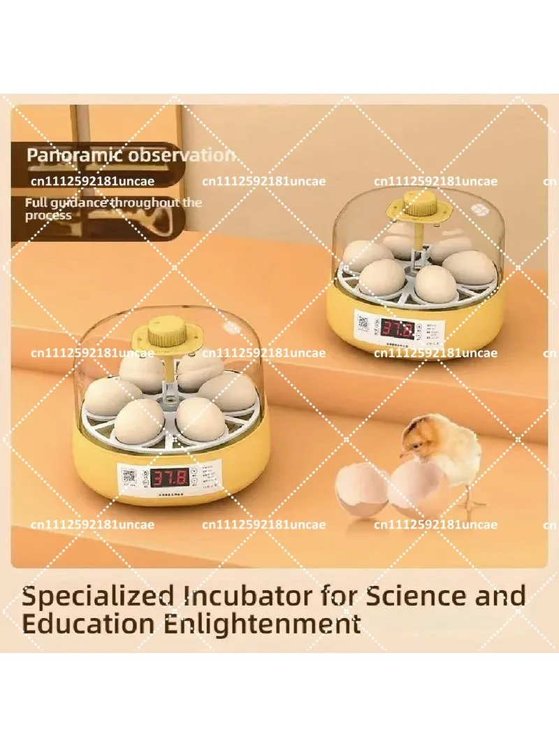 Small Smart Automatic Egg Incubator for Lovebird Parrot Chicken Hatchery Machine Water Bed Home Use
Small Smart Automatic Egg Incubator for Lovebird Parrot Chicken Hatchery Machine Water Bed Home Use