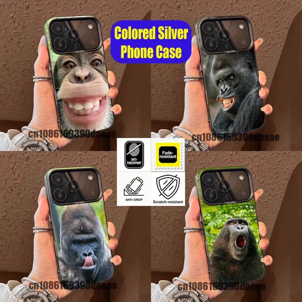 For Funny Monkey Gorilla Baboon Meme Phone Case iPhone 15,17,11,14,13,16,12,E,Max,Plus,Air,Pro,Mini Custom Color Silver Cover
For Funny Monkey Gorilla Baboon Meme Phone Case iPhone 15,17,11,14,13,16,12,E,Max,Plus,Air,Pro,Mini Custom Color Silver Cover