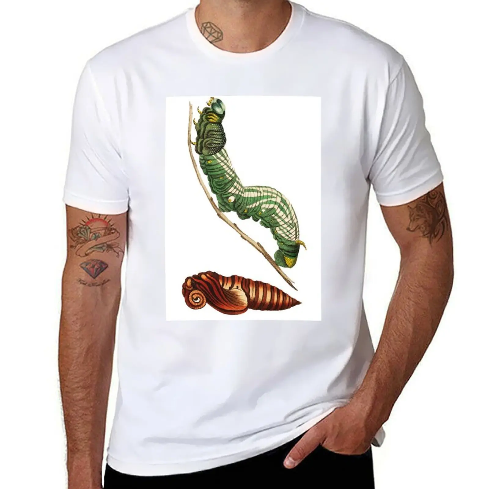 Sphinx Moth and Pupa T-Shirt man t shirts cotton man t shirts graphic black cotton t-shirt plain for man package T-shirt
Sphinx Moth and Pupa T-Shirt man t shirts cotton man t shirts graphic black cotton t-shirt plain for man package T-shirt