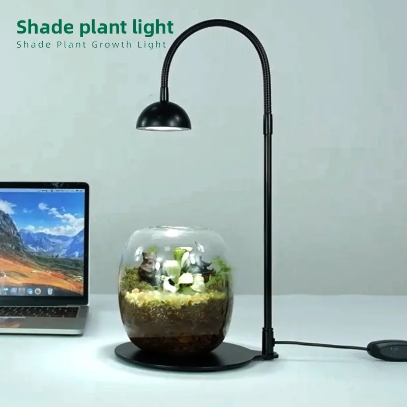Timed LED Micro Landscape Lamp USB Plug Fake Sun Eco Moss Plant Lamp Shade-Loving Plant Growth Lamp
Timed LED Micro Landscape Lamp USB Plug Fake Sun Eco Moss Plant Lamp Shade-Loving Plant Growth Lamp