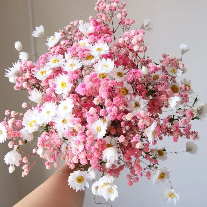 Цветок сушеная Сохраненная Gypsophila, естественный вечный BabyBreath свадебные букеты, Декор, домашний стол Вечерние
Цветок сушеная Сохраненная Gypsophila, естественный вечный BabyBreath свадебные букеты, Декор, домашний стол Вечерние
