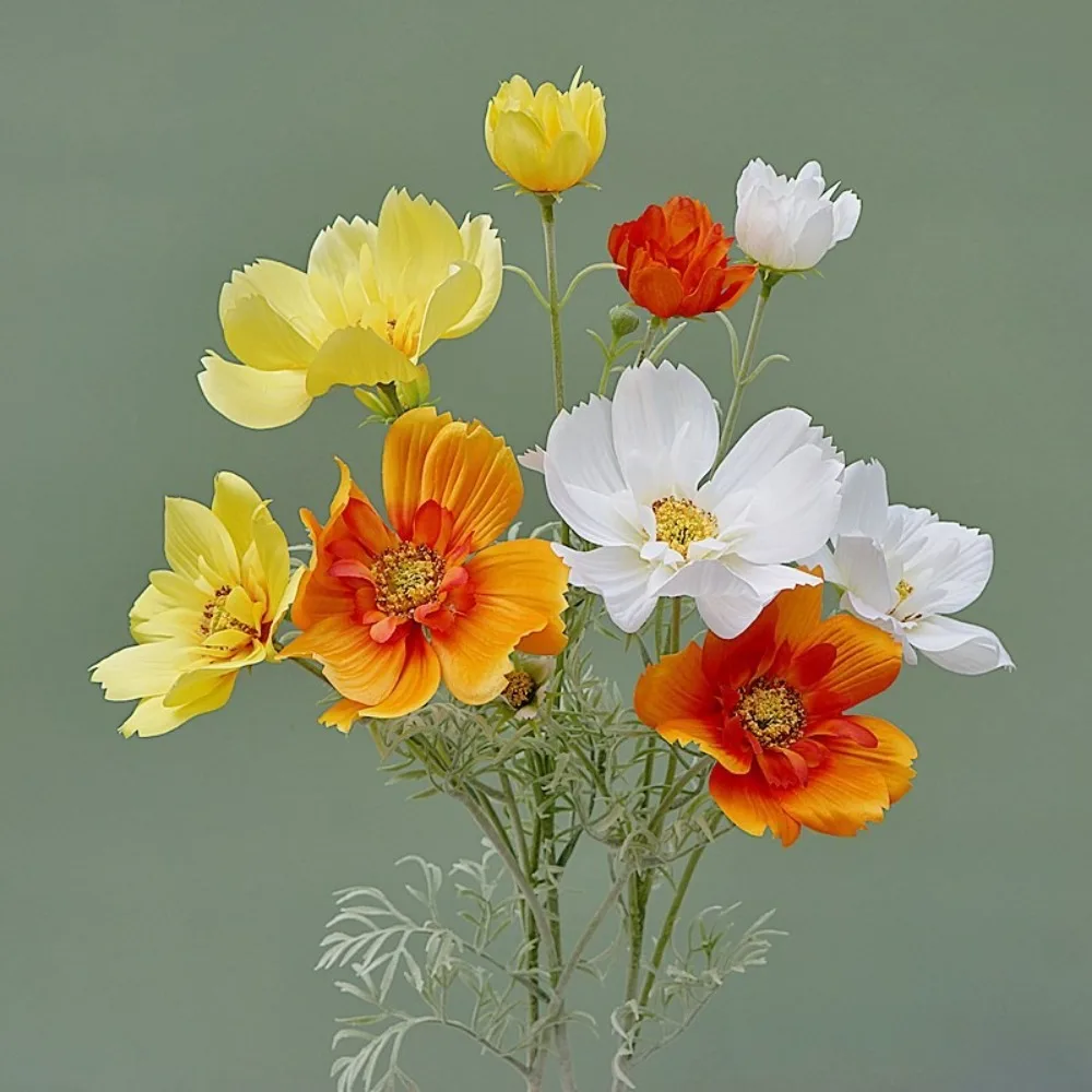 Luxury Artificial Cosmos Flower Branch Realistic Elegant Simulation Chrysanthemum Plastic Handmade Fake Flower
Luxury Artificial Cosmos Flower Branch Realistic Elegant Simulation Chrysanthemum Plastic Handmade Fake Flower