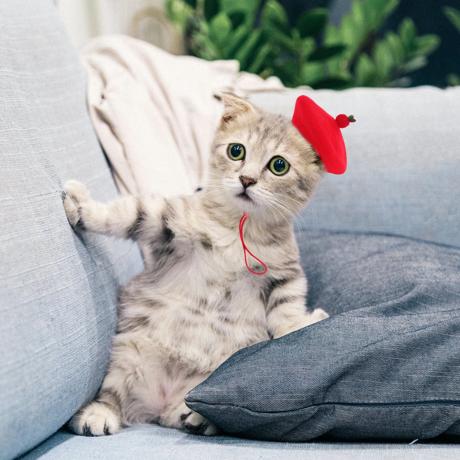 Pet Wool Beret Hat For Cats And Small Dogs Felt Headwear Costume Cap Ideal For Pet Costume Accessories And Holiday Celebrations
Pet Wool Beret Hat For Cats And Small Dogs Felt Headwear Costume Cap Ideal For Pet Costume Accessories And Holiday Celebrations