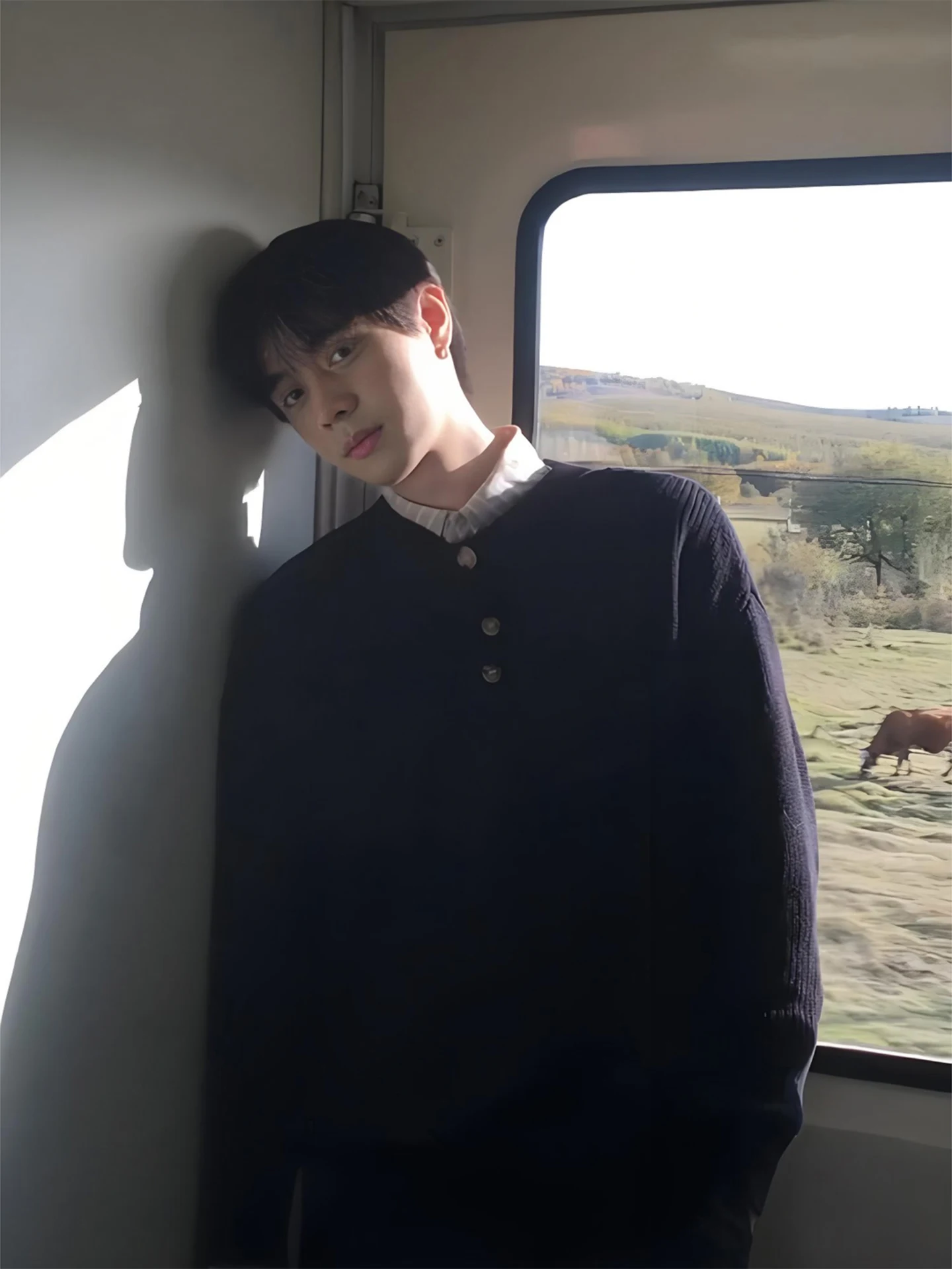 Bla American Sle Henry Collar Sweater Men's Autumn Lazy High-End Knitted irt Cleanfit Layering Base irt Casual Sle
Bla American Sle Henry Collar Sweater Men's Autumn Lazy High-End Knitted irt Cleanfit Layering Base irt Casual Sle