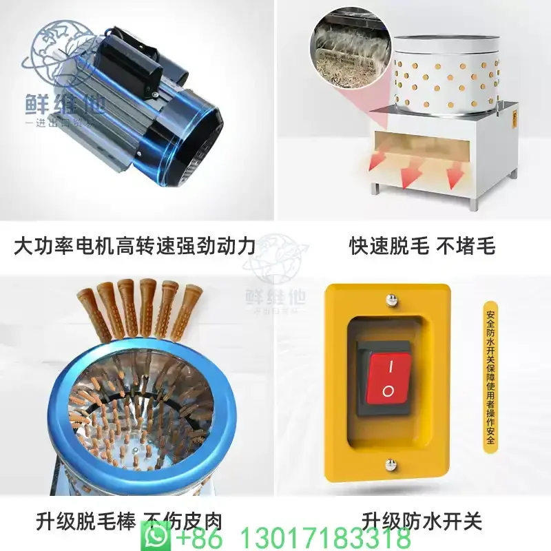 Farm Use Poultry Plucker Machine Chicken Quail Pigeon Feather Remover Automatic Bird Hair Depilator
Farm Use Poultry Plucker Machine Chicken Quail Pigeon Feather Remover Automatic Bird Hair Depilator