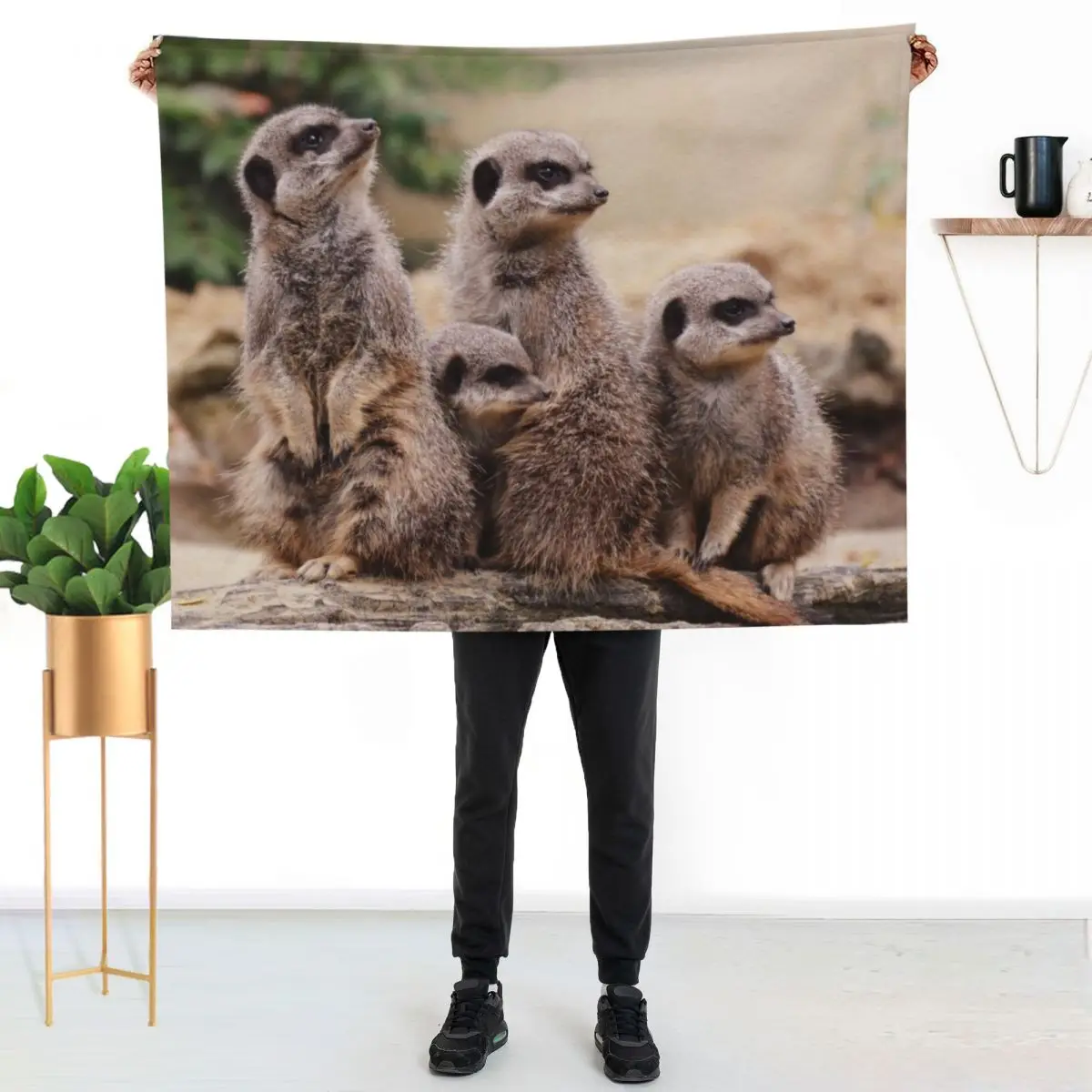 Meerkat family Throw Blanket Color Fast Cozy Throw Blanket
Meerkat family Throw Blanket Color Fast Cozy Throw Blanket