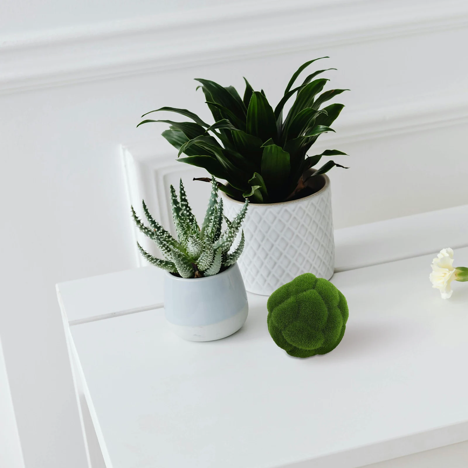 Artificial Moss Ball Fiber Foam Minimalist Style Indoor Use Homeowners Interior Designers Shelf Decor Realistic Greenery
Artificial Moss Ball Fiber Foam Minimalist Style Indoor Use Homeowners Interior Designers Shelf Decor Realistic Greenery
