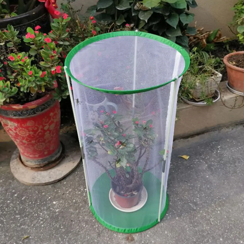 Butterfly Cage Display Habitatbutterfly Butterflies Observation House Net Enclosure
Butterfly Cage Display Habitatbutterfly Butterflies Observation House Net Enclosure