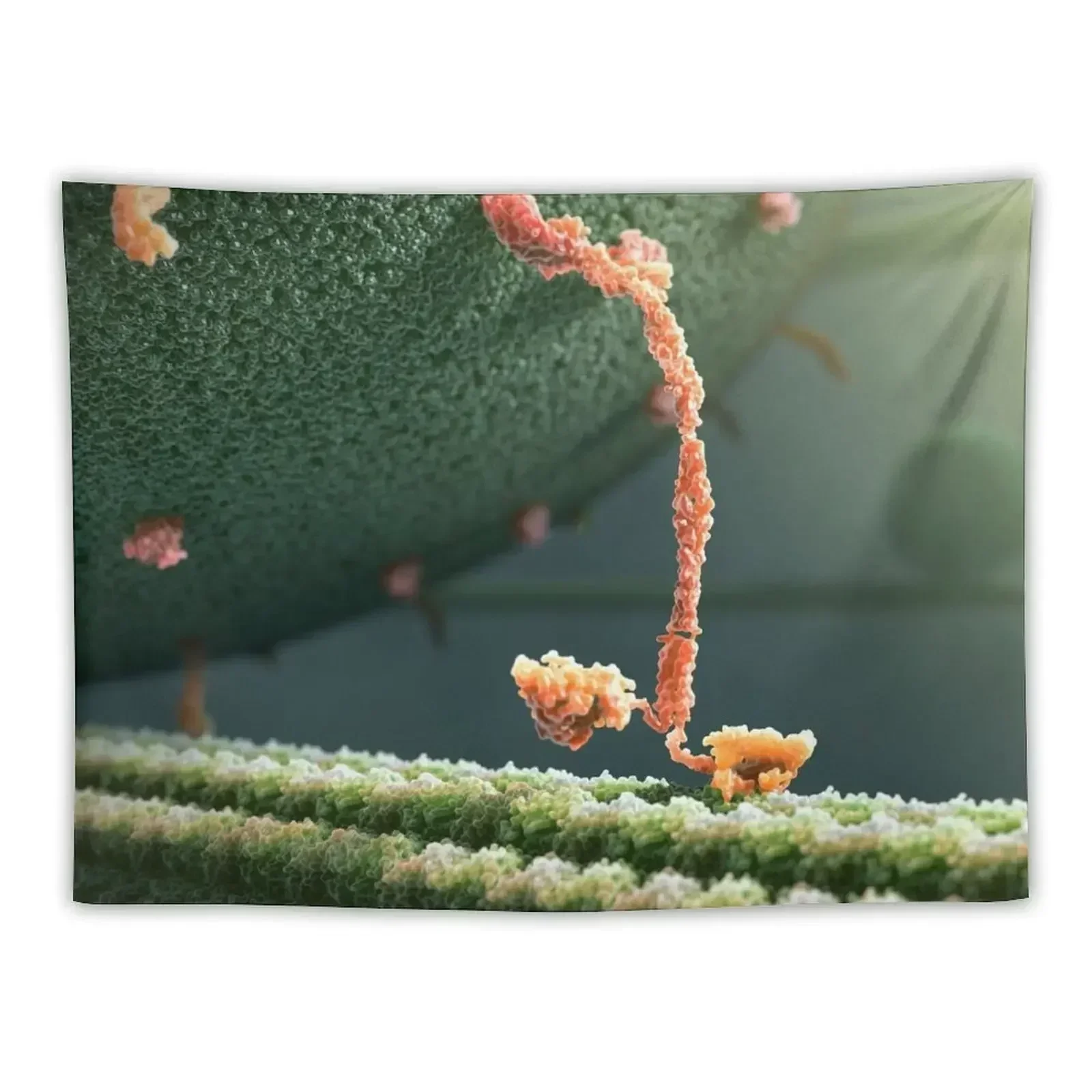 Kinesin Protein Walking by John Liebler Tapestry Home Decorations Mushroom Tapestry
Kinesin Protein Walking by John Liebler Tapestry Home Decorations Mushroom Tapestry