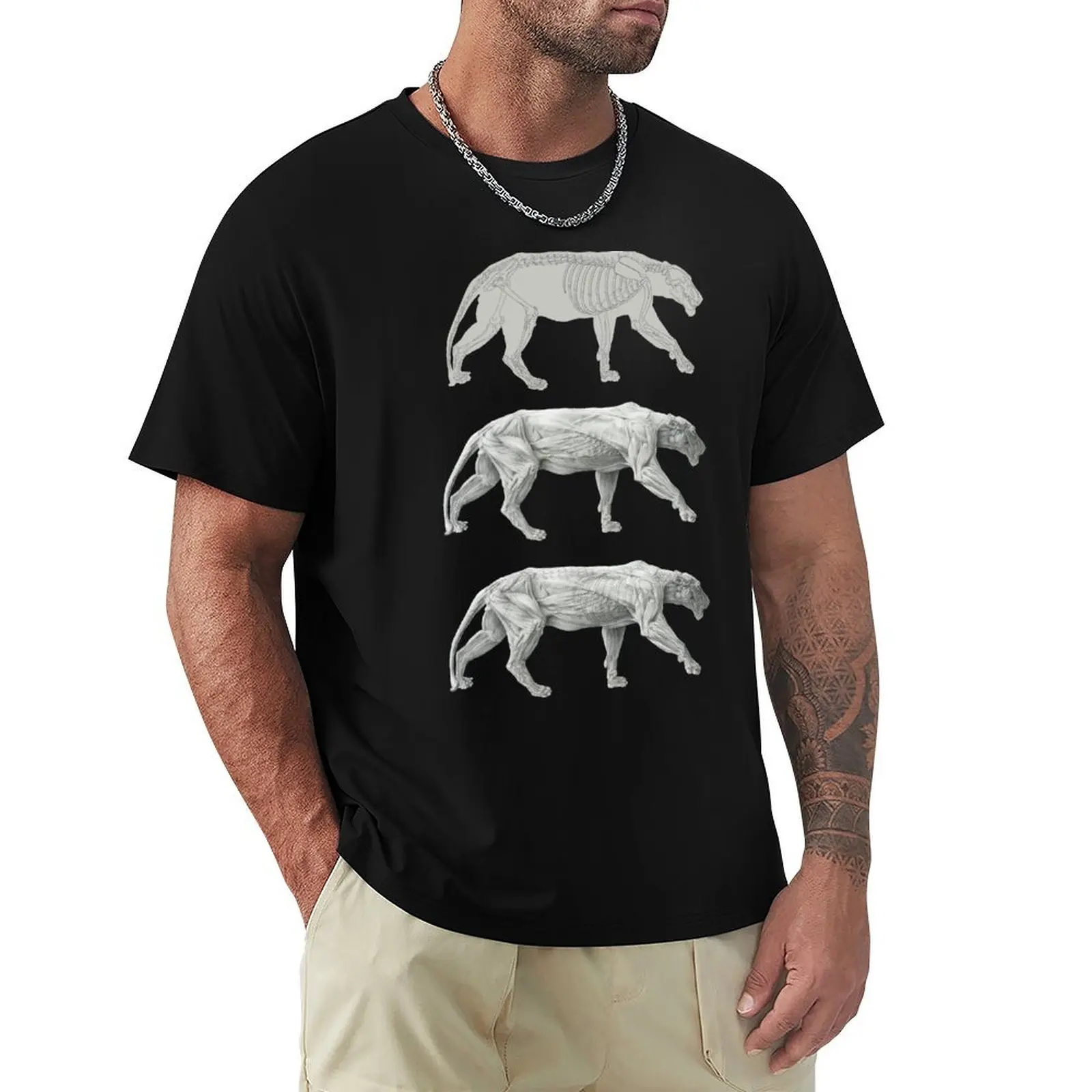Engine Of the Lion T-Shirt graphic shirts baggy shirts T-shirts oversize new gifts and t-shirts mens designer clothes
Engine Of the Lion T-Shirt graphic shirts baggy shirts T-shirts oversize new gifts and t-shirts mens designer clothes
