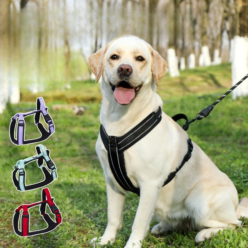 Reflective H-Shape Dog Harness with Leash, Adjustable No-Pull Pet Vest Walking Lead for Golden Retriever
Reflective H-Shape Dog Harness with Leash, Adjustable No-Pull Pet Vest Walking Lead for Golden Retriever