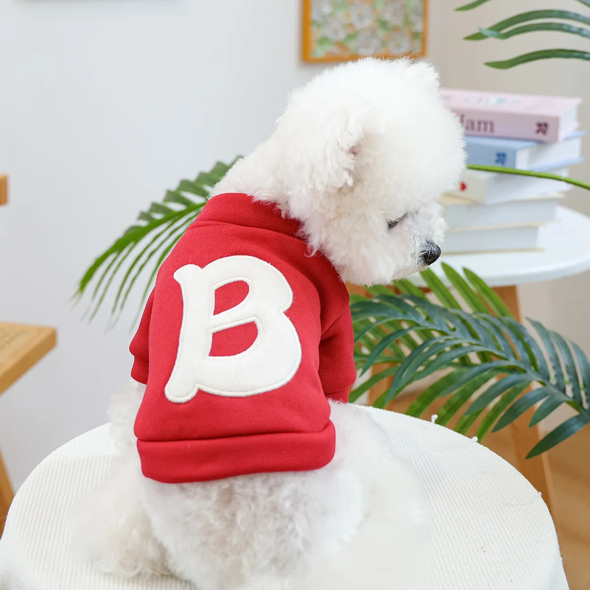 Small And Medium Sized Dog Clothes Spring Summer Breathable Comfortable Letter B Pet Clothes Dog Hoodie
Small And Medium Sized Dog Clothes Spring Summer Breathable Comfortable Letter B Pet Clothes Dog Hoodie