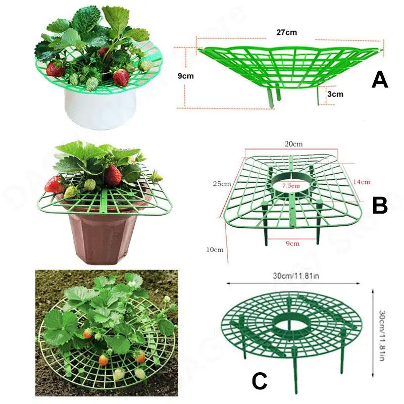 Flower Strawberry Fruit Stand Green Frame Holder Balcony Planting Rack Support Protect Climbing Vine Pillar Potager V27
Flower Strawberry Fruit Stand Green Frame Holder Balcony Planting Rack Support Protect Climbing Vine Pillar Potager V27