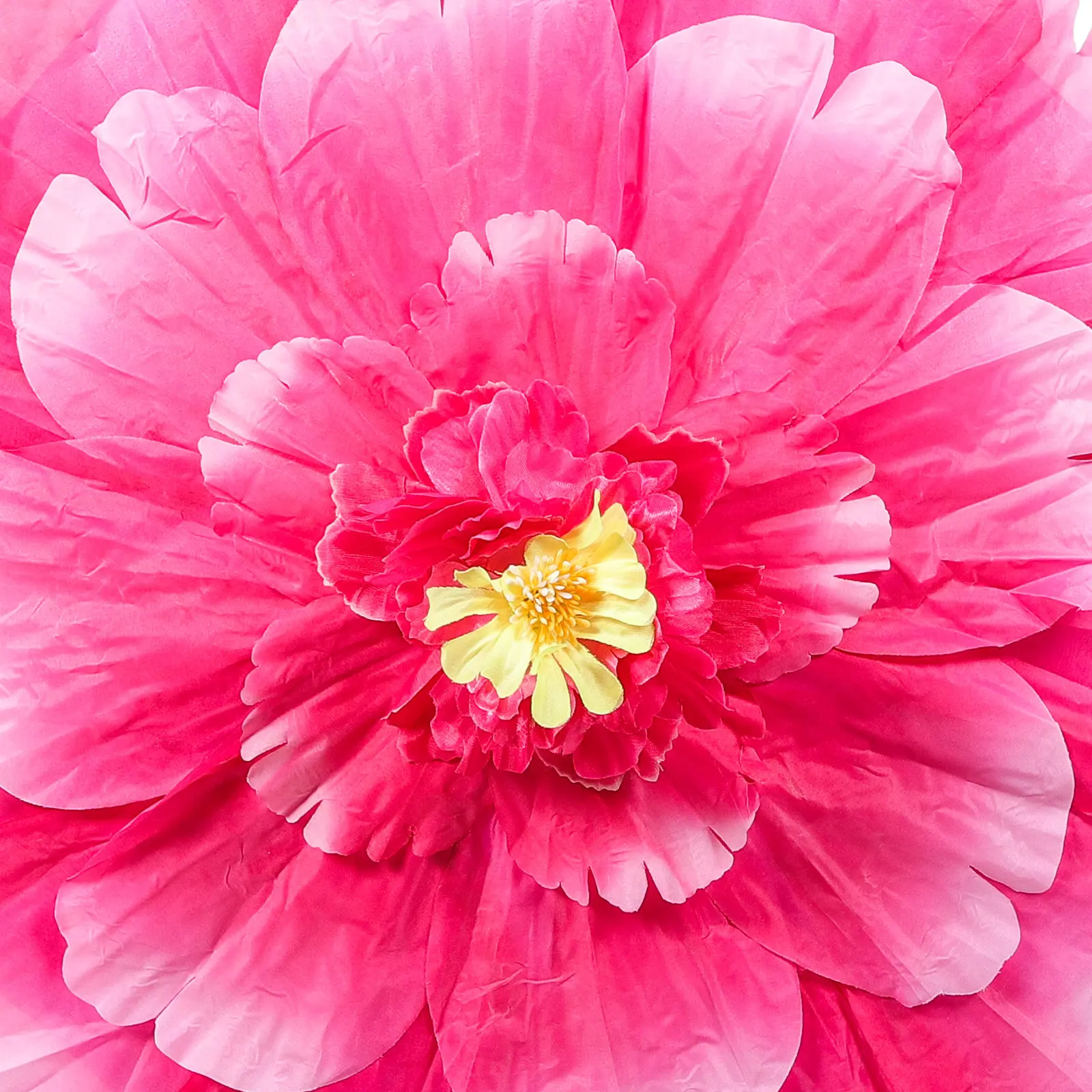 Декоративный тканевый зонт для танцев с узором пионов, реквизит для фотосъемки, декор для свадебных вечеринок, тканевый зонт-парасоль с пионами
Декоративный тканевый зонт для танцев с узором пионов, реквизит для фотосъемки, декор для свадебных вечеринок, тканевый зонт-парасоль с пионами