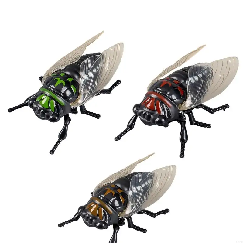 Y88D реалистичная имитация заводной игрушки-цикады для веселых развлечений и семейного взаимодействия, прочный пластиковый
Y88D реалистичная имитация заводной игрушки-цикады для веселых развлечений и семейного взаимодействия, прочный пластиковый