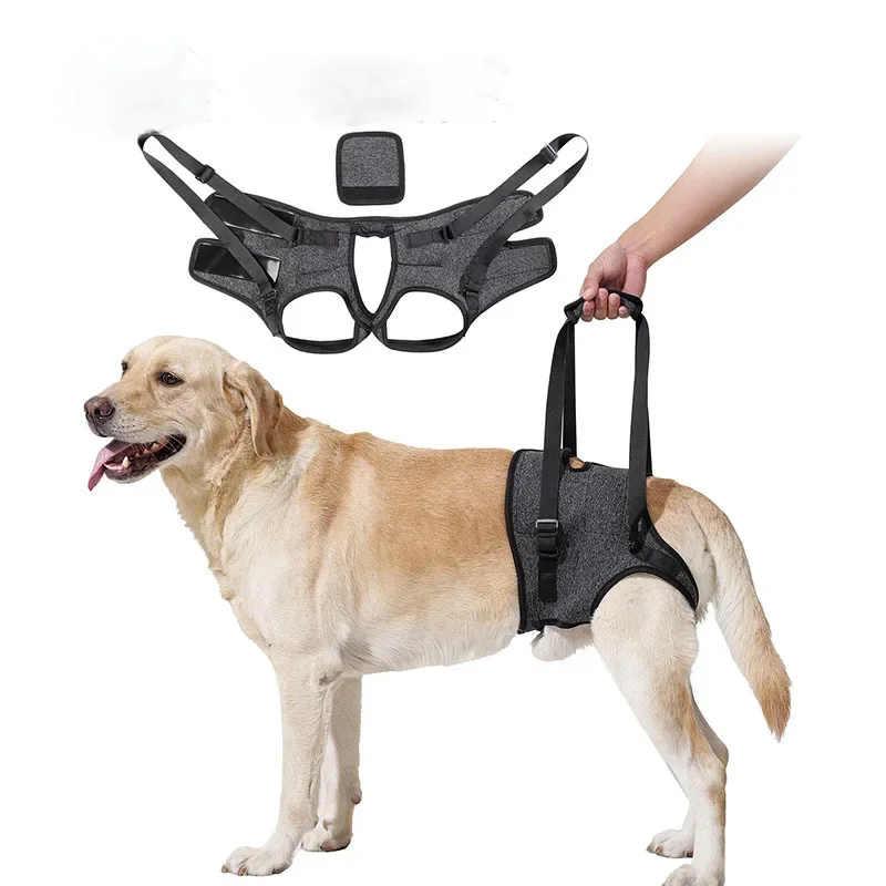 Adjustable Dog Lift Harness for Large Dogs Soft Padded Pet Rear Leg Support for Old Disabled Joint Injuries Dog Back Leg Hold
Adjustable Dog Lift Harness for Large Dogs Soft Padded Pet Rear Leg Support for Old Disabled Joint Injuries Dog Back Leg Hold