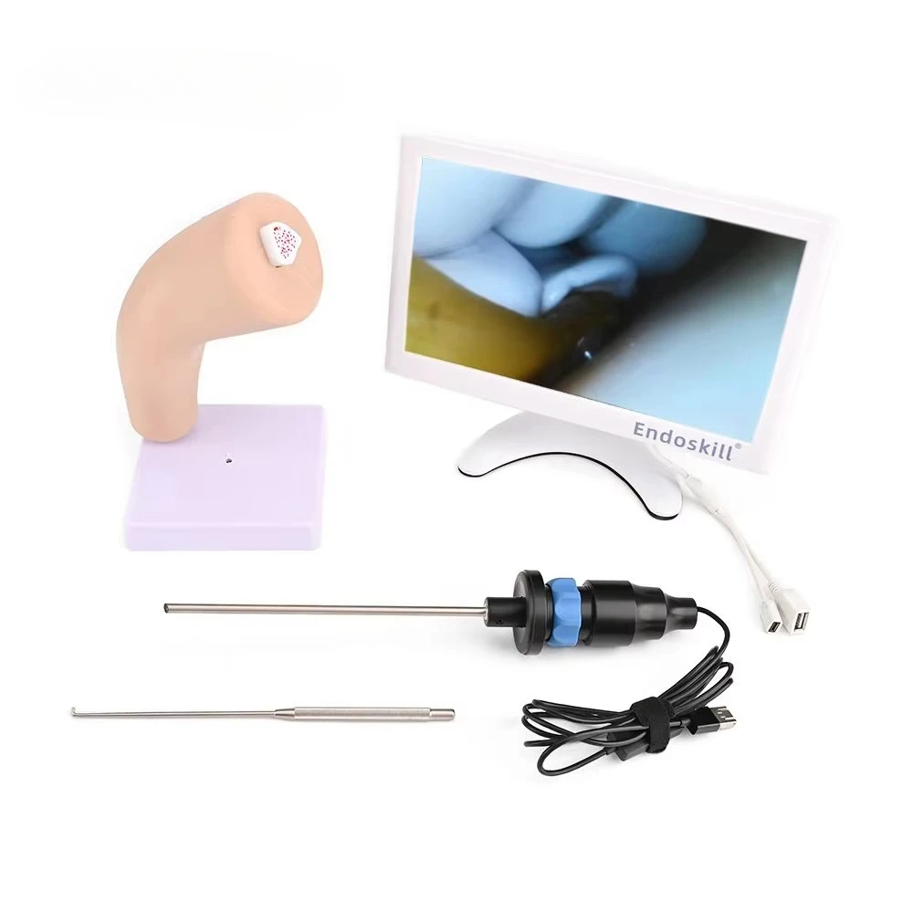 Arthroscopy Simulator Surgical Skills Trainer Elbow Joint Model For Medical Science Training
Arthroscopy Simulator Surgical Skills Trainer Elbow Joint Model For Medical Science Training