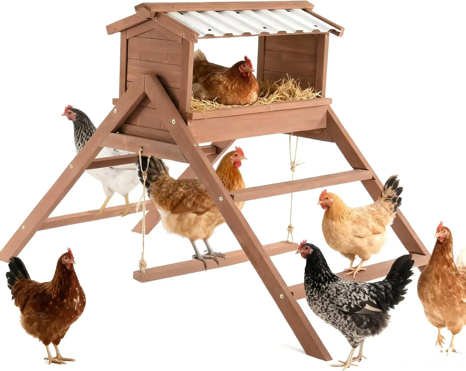 Chicken Perch for Coop, 3 in 1 Design-Nesting Box with All Weather PVC Roof+Perches+Swing, Indoor & Outdoor Roosting Bar
Chicken Perch for Coop, 3 in 1 Design-Nesting Box with All Weather PVC Roof+Perches+Swing, Indoor & Outdoor Roosting Bar