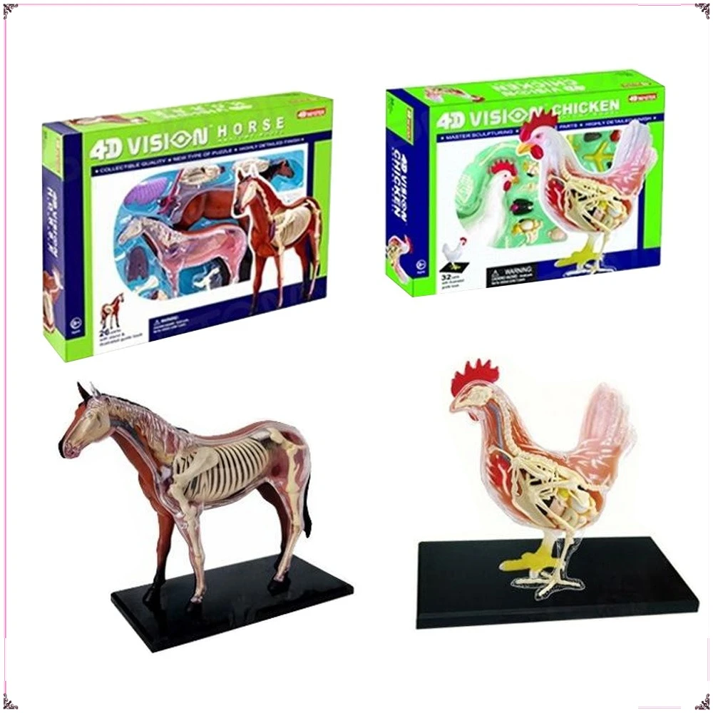 4D MASTER Animal Anatomy Assembly Model DIY Cat and Dog Teaching Toys Desktop Decorative Ornaments Kids Creative Gifts in Stock
4D MASTER Animal Anatomy Assembly Model DIY Cat and Dog Teaching Toys Desktop Decorative Ornaments Kids Creative Gifts in Stock