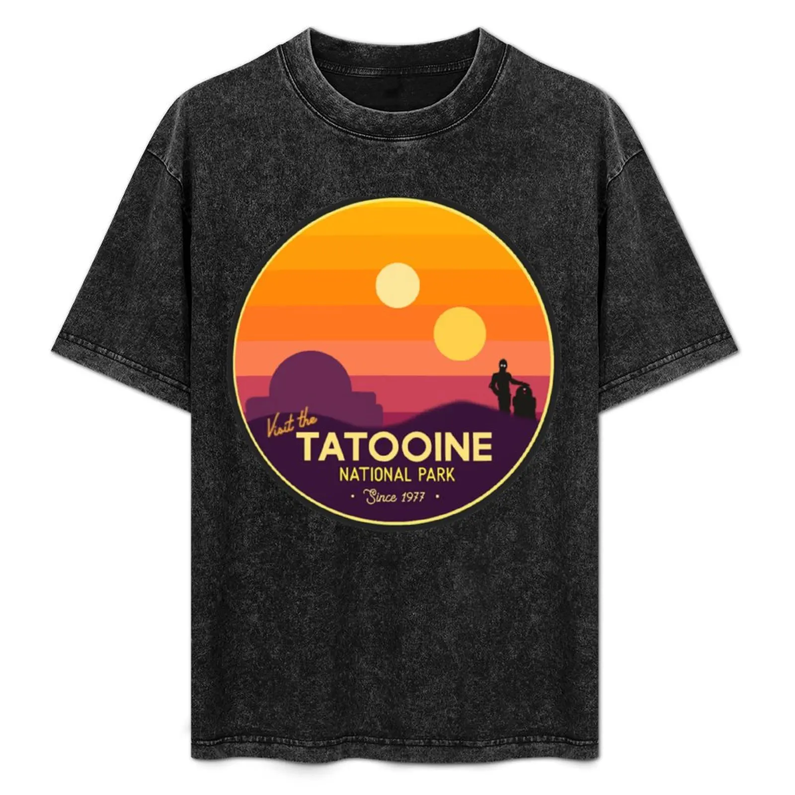 Visit Tatooine T-Shirt Fitness Training Breathable Tee
Visit Tatooine T-Shirt Fitness Training Breathable Tee