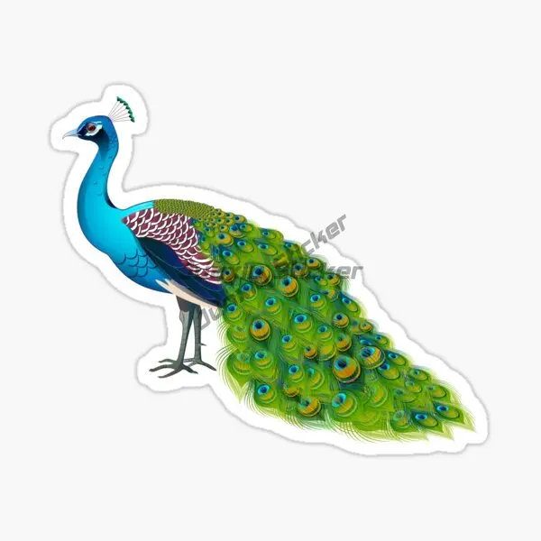 Peacock Car Sticker for Automobile Bumpers Personal Items Vinyl Self-adhesive Decals
Peacock Car Sticker for Automobile Bumpers Personal Items Vinyl Self-adhesive Decals