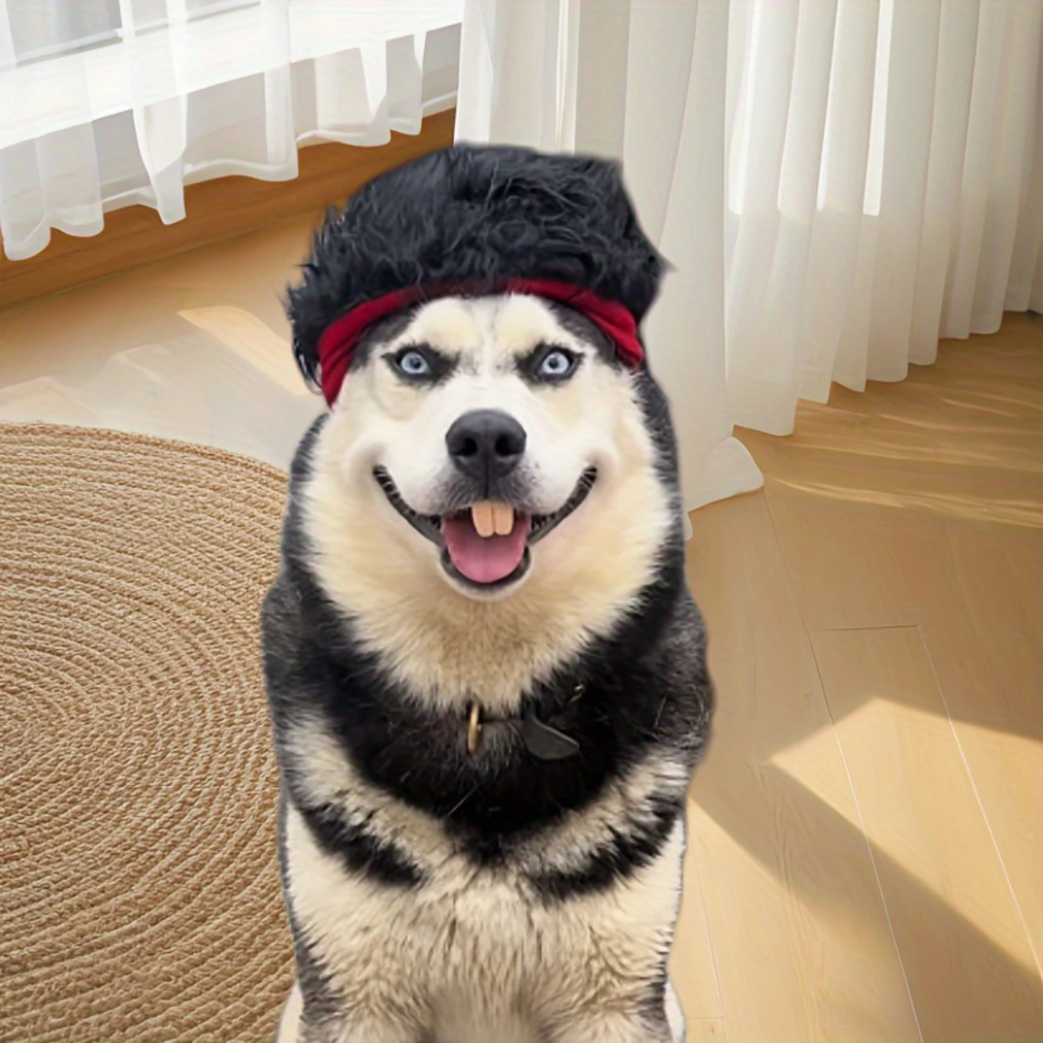 Funny Dog Costume Accessories - Soft Wig Hat & Quirky Short Hair With Adhesive Closure, Ideal For Medium Breeds
Funny Dog Costume Accessories - Soft Wig Hat & Quirky Short Hair With Adhesive Closure, Ideal For Medium Breeds