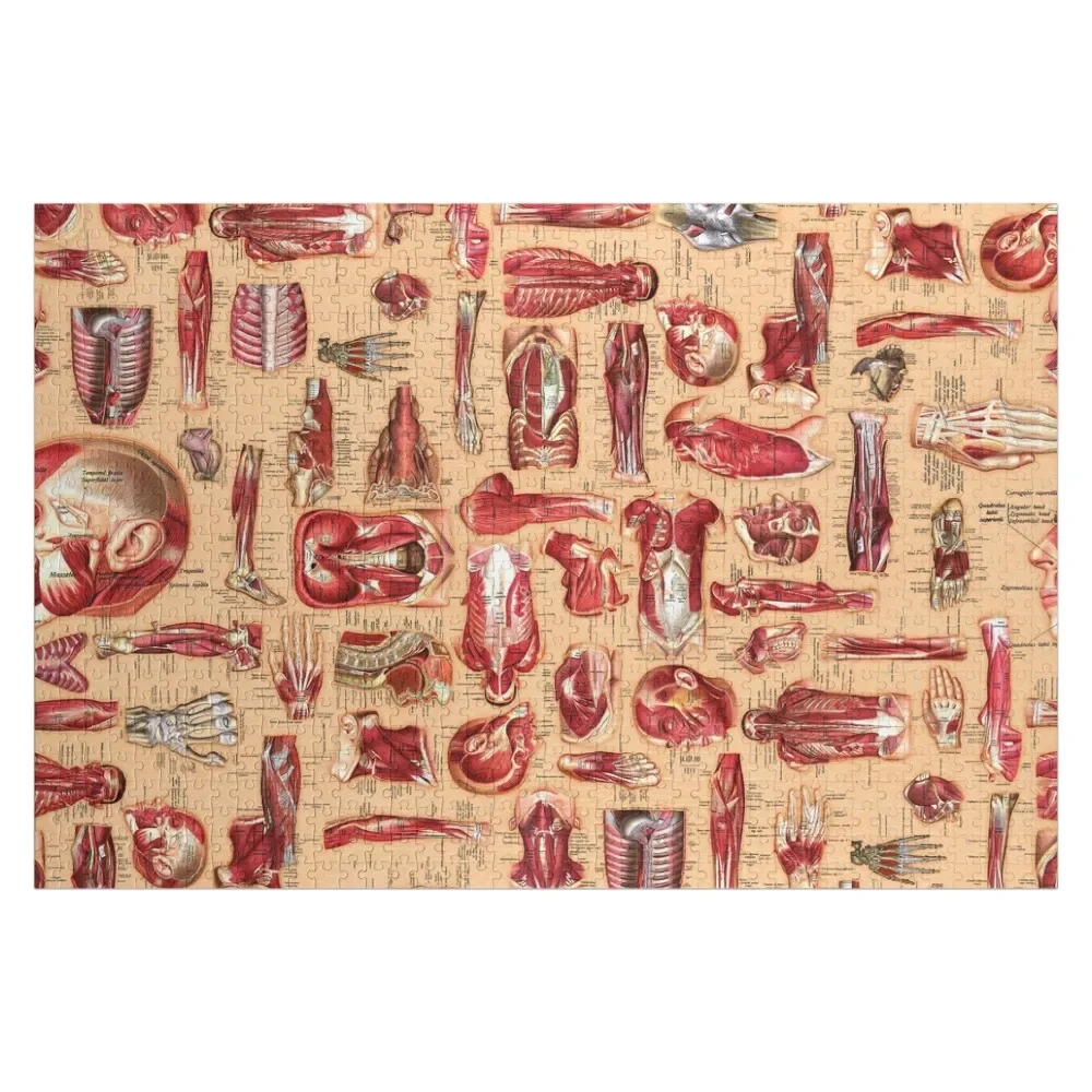 Full Color Anatomy Skin Jigsaw Puzzle Name Wooden Toy Game Children Customized Gifts For Kids Puzzle
Full Color Anatomy Skin Jigsaw Puzzle Name Wooden Toy Game Children Customized Gifts For Kids Puzzle