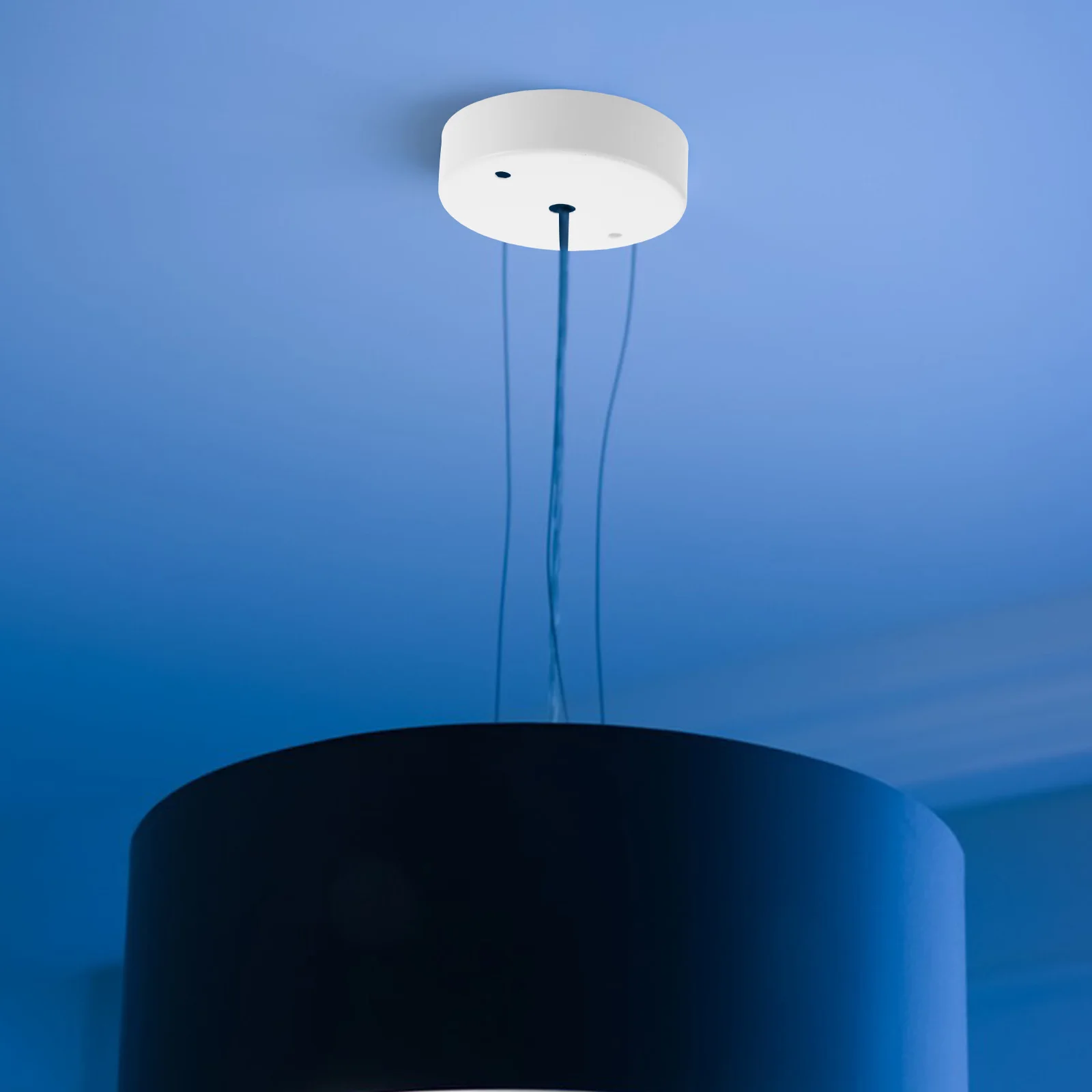 DIY подвесной светильник, навес с круглым краем, потолочная крышка, декоративные светильники, монтажная потолочная пластина для люстры
DIY подвесной светильник, навес с круглым краем, потолочная крышка, декоративные светильники, монтажная потолочная пластина для люстры