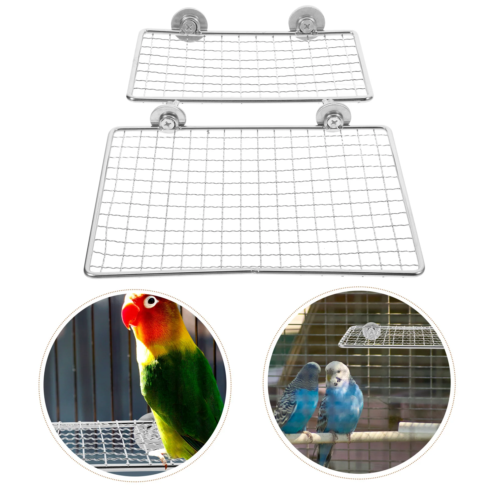 2 Pcs Parrot Resting Table Bird Perch Stand for Cage Play Accessories Cages Perches Parrots Small
2 Pcs Parrot Resting Table Bird Perch Stand for Cage Play Accessories Cages Perches Parrots Small