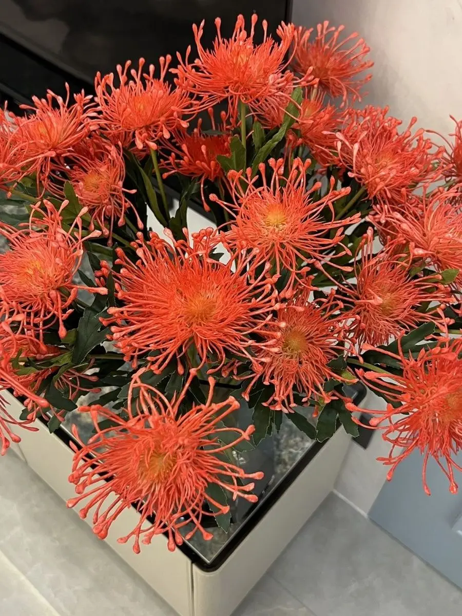 Chinese Style Red Chrysanthemum Artificial Dragon Claw Chrysanthemum Longevity Chrysanthemum Pin Cushion Chrysanthemum Hairpi...
Chinese Style Red Chrysanthemum Artificial Dragon Claw Chrysanthemum Longevity Chrysanthemum Pin Cushion Chrysanthemum Hairpi...