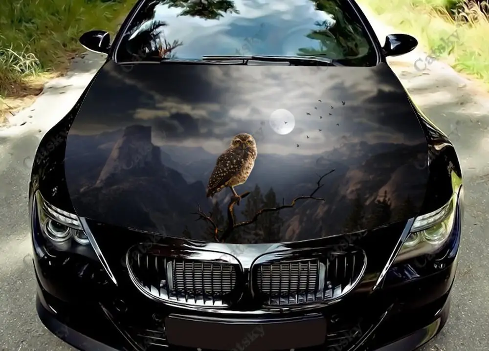 cat owl animal Car Hood Decals Self Adhesive Paint Stickers Car SUV Wraps Truck Graphics Car Hood Vinyl Decals
cat owl animal Car Hood Decals Self Adhesive Paint Stickers Car SUV Wraps Truck Graphics Car Hood Vinyl Decals