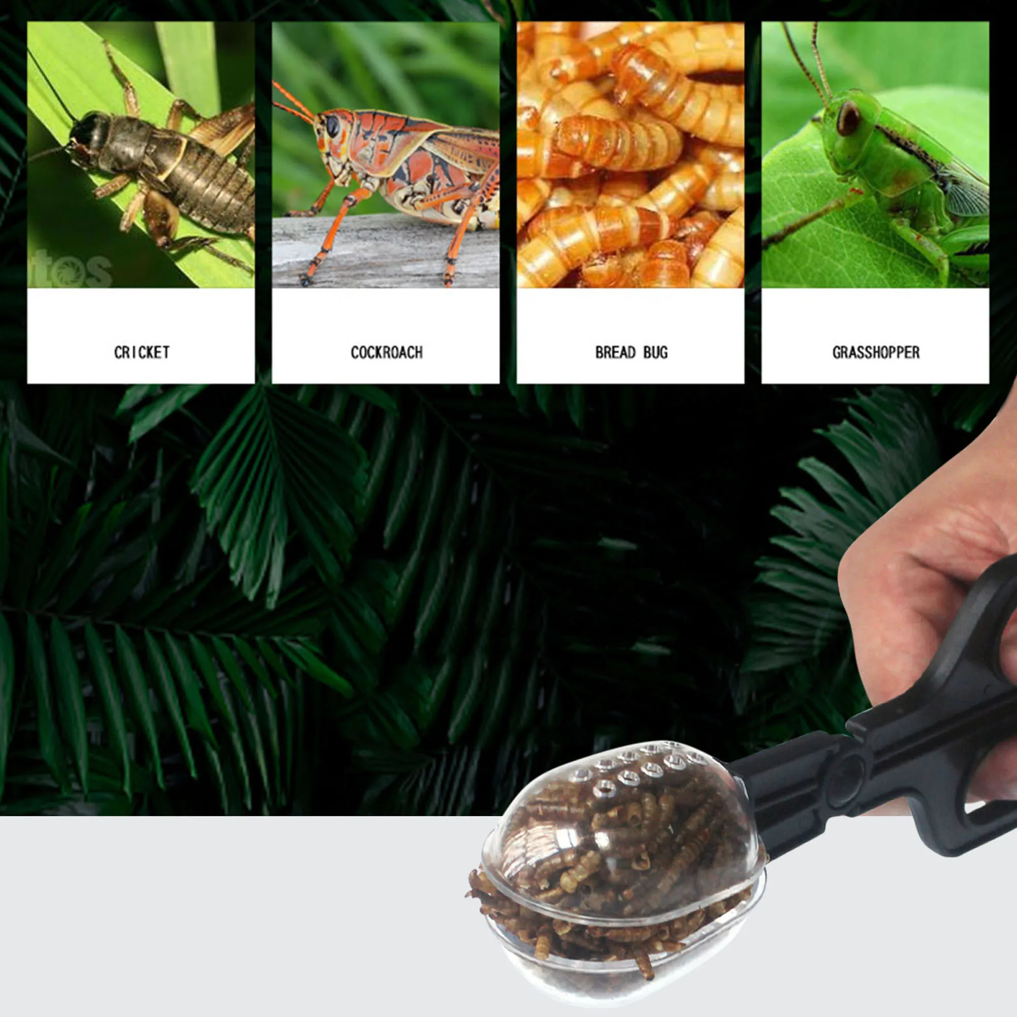 Crawler Clip Insect Catcher Scissor Traps Transparent Clamp Tong Portable Reptile Plastic Indoor Outdoor Traps Garden Supplies
Crawler Clip Insect Catcher Scissor Traps Transparent Clamp Tong Portable Reptile Plastic Indoor Outdoor Traps Garden Supplies