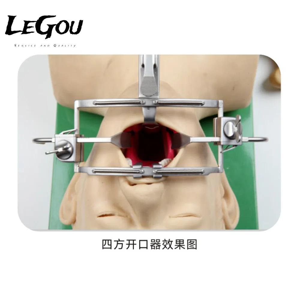 LeGou Professional Manual Power Source Otolaryngology Opener Instrument Laryngeal Mouth Gag set
LeGou Professional Manual Power Source Otolaryngology Opener Instrument Laryngeal Mouth Gag set