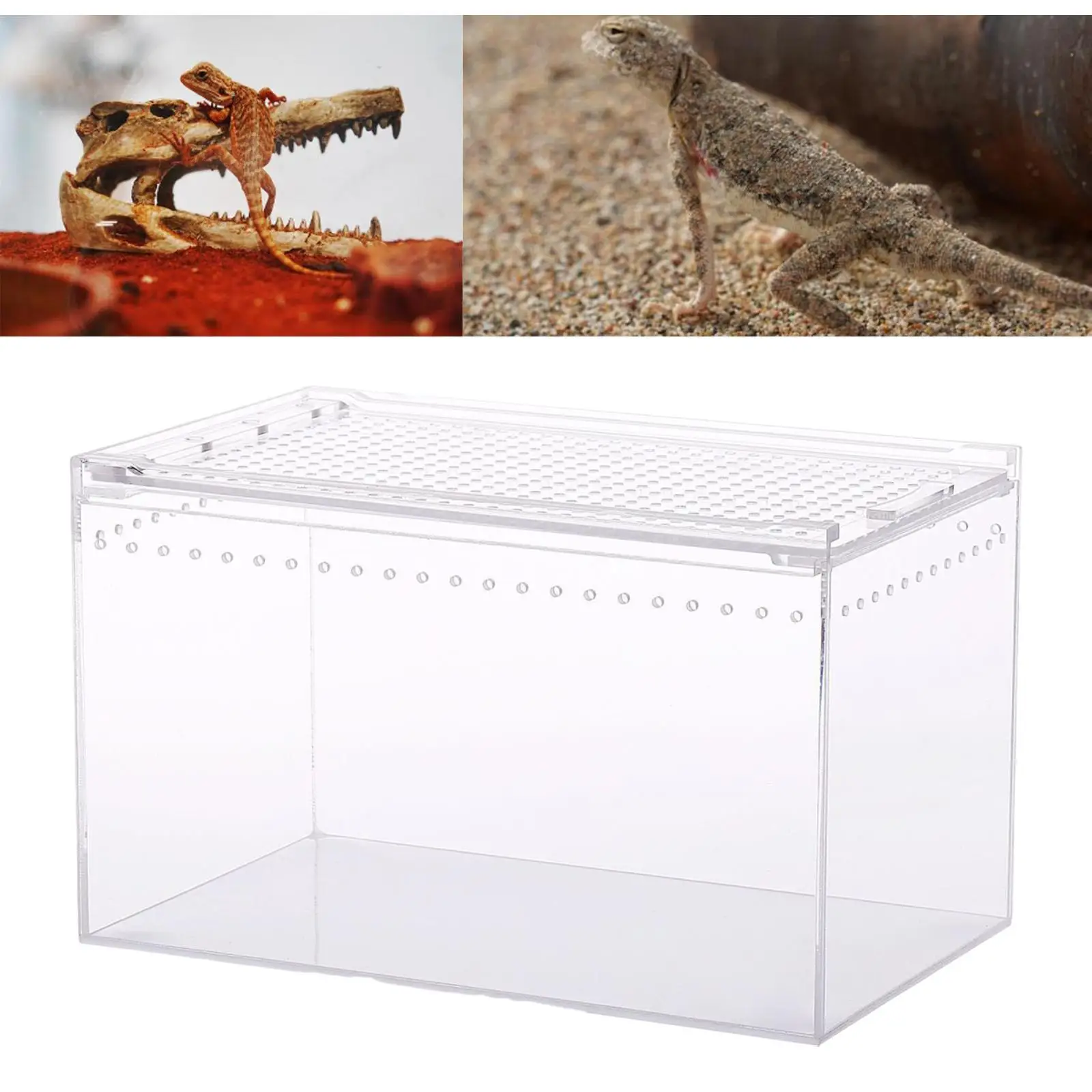 Reptile Terrarium Portable Hatching Case Terrarium Breeding Tank Reptile Feeding Box for Geckos Frogs Snake Turtle Hermit Crabs
Reptile Terrarium Portable Hatching Case Terrarium Breeding Tank Reptile Feeding Box for Geckos Frogs Snake Turtle Hermit Crabs
