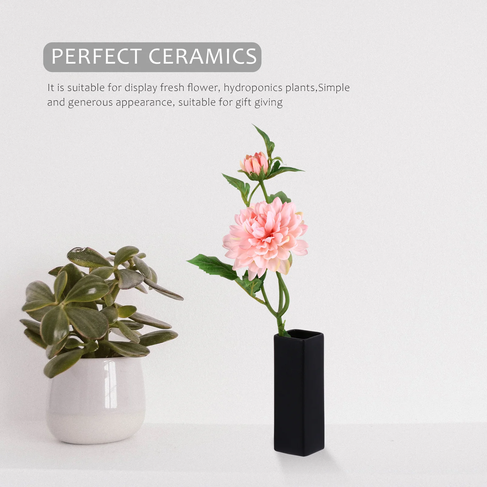1Pcs Black Ceramic Flower Vase Modern Square Planter for Water Plants Indoor Decorative Container Air Purifying Home Garden
1Pcs Black Ceramic Flower Vase Modern Square Planter for Water Plants Indoor Decorative Container Air Purifying Home Garden