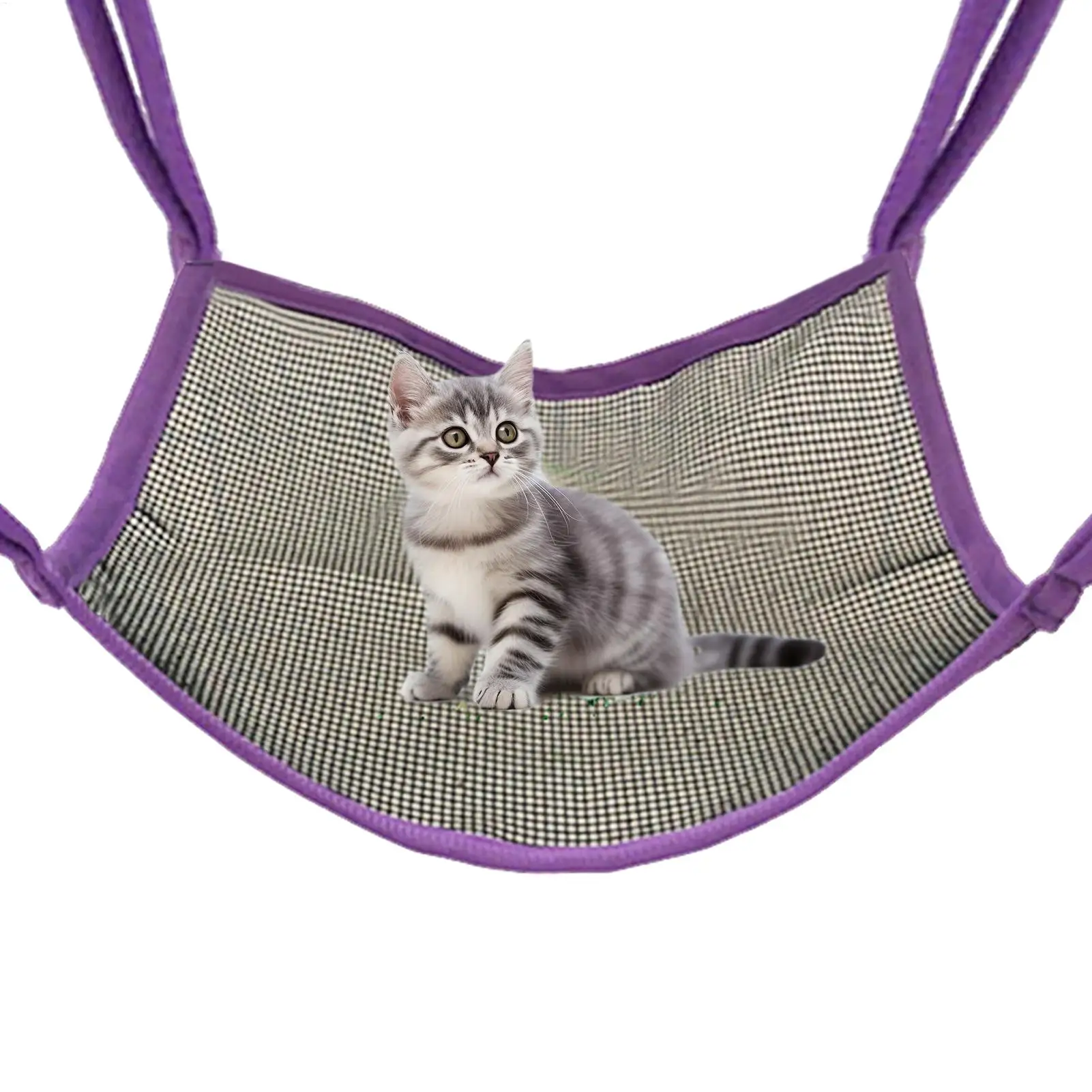 Гамак для тхора для клетки, кровать для хомяка, дышащее жевательное гнездо, упражнения для скалолазания, для обогащения, скрывающая исследовательская деятельность
Гамак для тхора для клетки, кровать для хомяка, дышащее жевательное гнездо, упражнения для скалолазания, для обогащения, скрывающая исследовательская деятельность