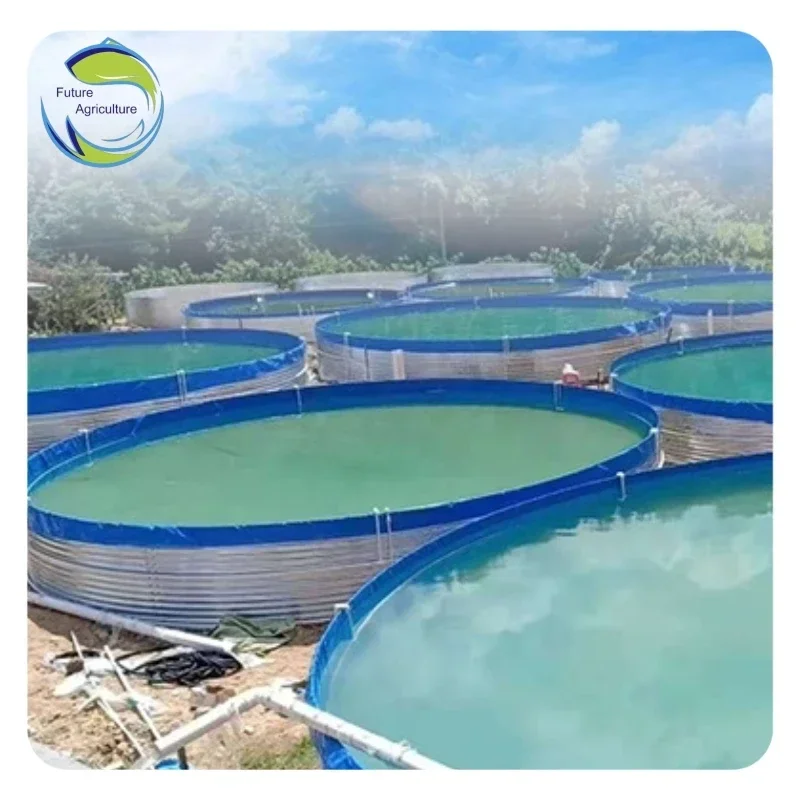 High Capacity Tarpaulin Fish Pond Low Cost Outdoor Bac Pisciculture Fish Farming Tank Fish Pool
High Capacity Tarpaulin Fish Pond Low Cost Outdoor Bac Pisciculture Fish Farming Tank Fish Pool