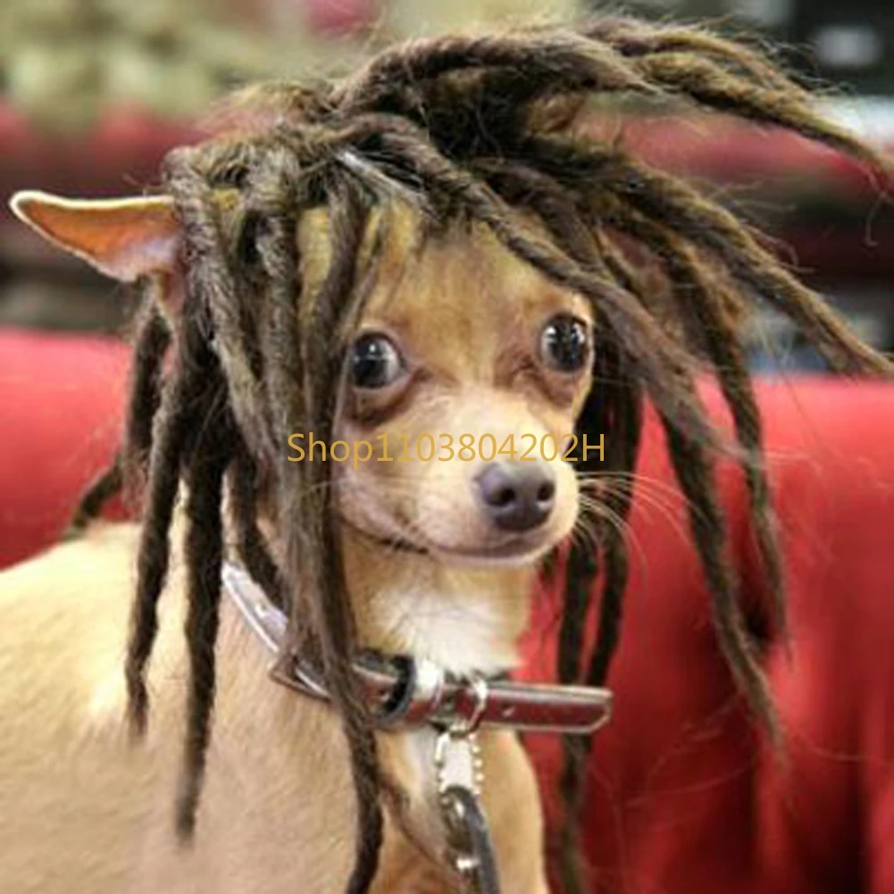 Tide Dog Pet Headgear, Pet, Wig, Dog High Temperature Silk Perm and Dye Wig, Goat Braids 24 Pieces
Tide Dog Pet Headgear, Pet, Wig, Dog High Temperature Silk Perm and Dye Wig, Goat Braids 24 Pieces