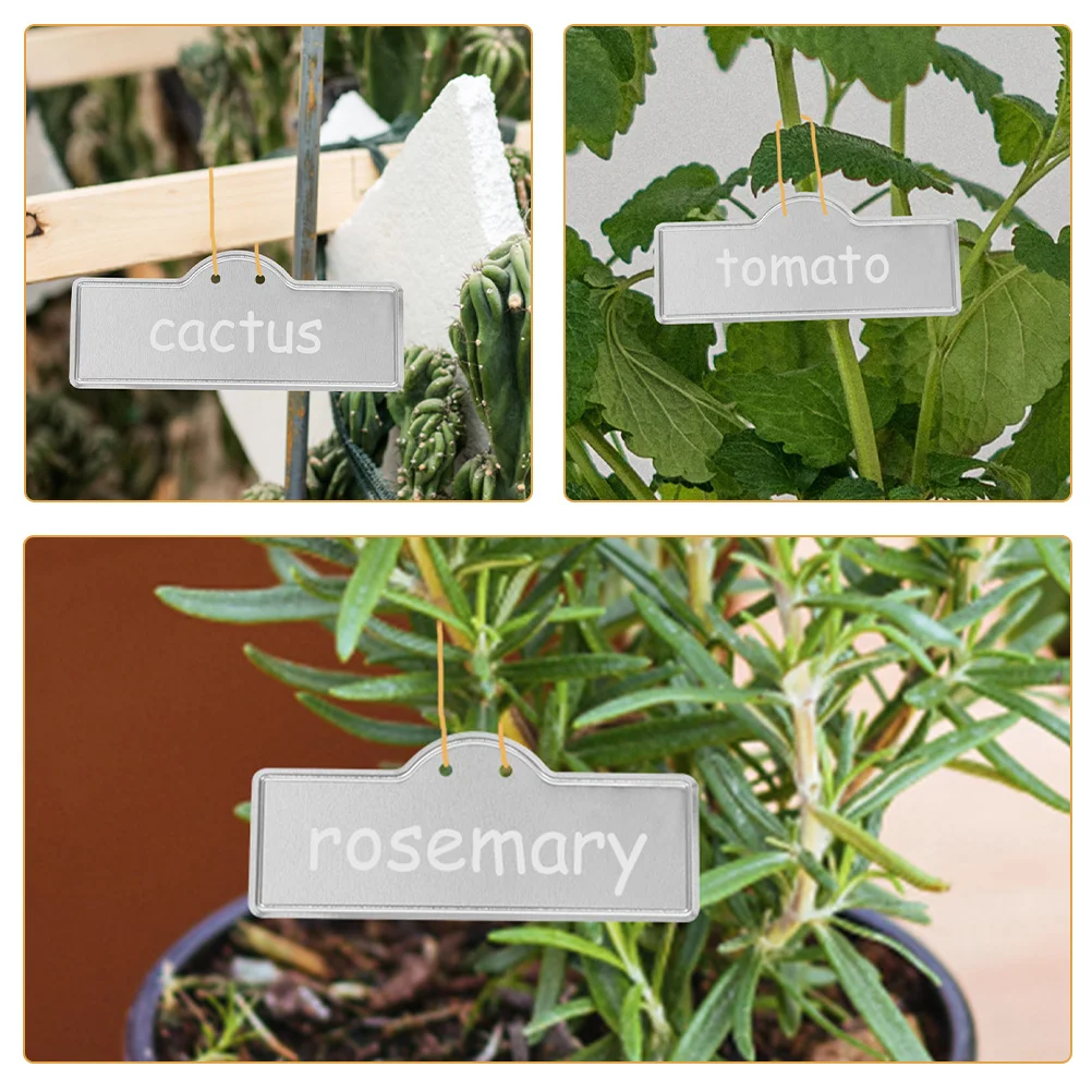 10pcs Aluminum Plant Labels Tree Tags Pot Marker Outdoor Garden Supplies For Greenhouse Metal Tag Planting Accessories
10pcs Aluminum Plant Labels Tree Tags Pot Marker Outdoor Garden Supplies For Greenhouse Metal Tag Planting Accessories