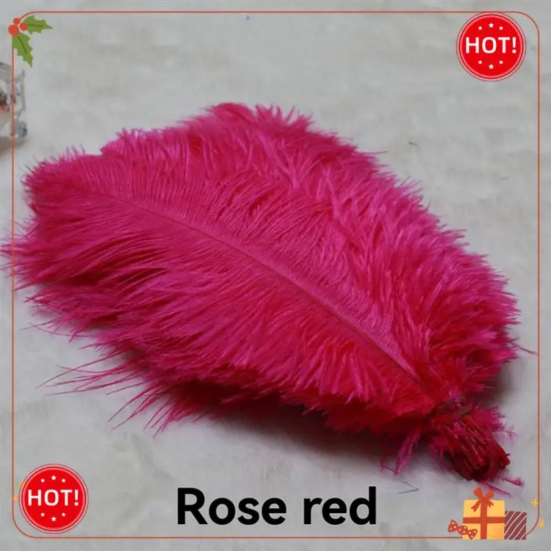 ABLE-20-25Cm Ostrich Feathers Stage Performances Feathers Handmade DIY Jewelry Decorations Ostrich Feathers
ABLE-20-25Cm Ostrich Feathers Stage Performances Feathers Handmade DIY Jewelry Decorations Ostrich Feathers