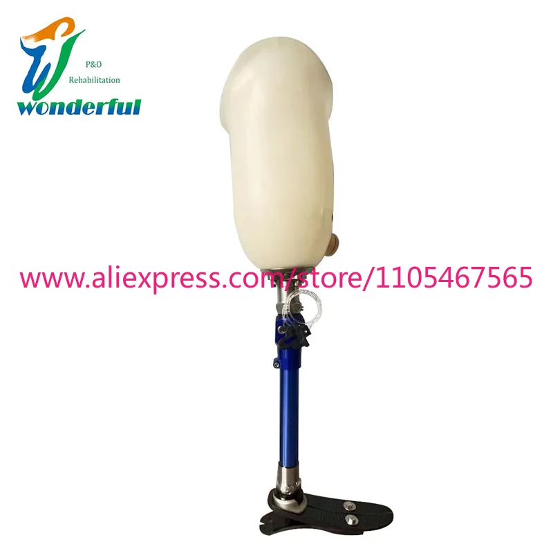 Advanced Prosthetics for Amputees
Advanced Prosthetics for Amputees