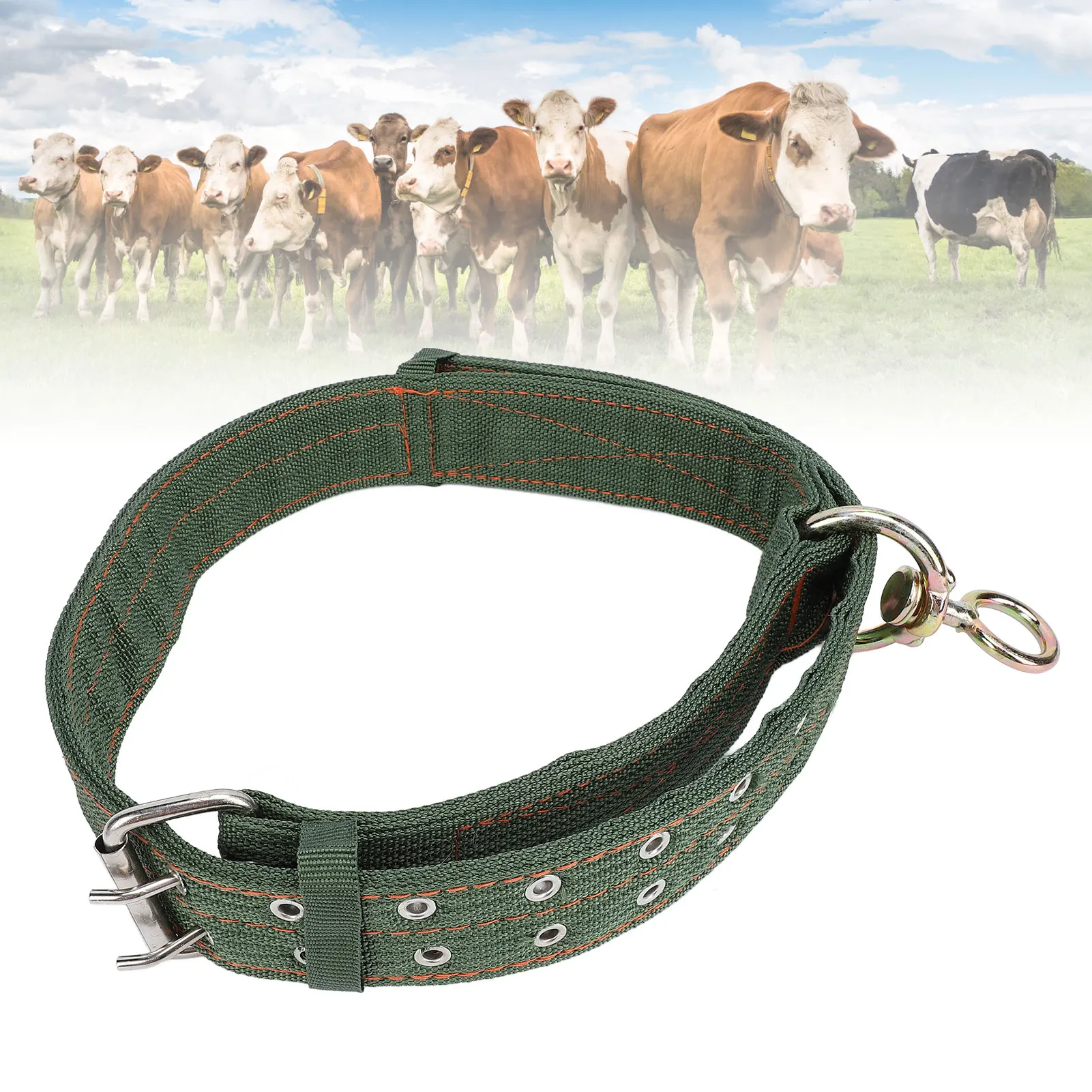 Cattle Collar Nylon Thickened Heavy Duty Cow Show Collars With Metal Buckle And Traction Chain For Horse Cattle Dog
Cattle Collar Nylon Thickened Heavy Duty Cow Show Collars With Metal Buckle And Traction Chain For Horse Cattle Dog