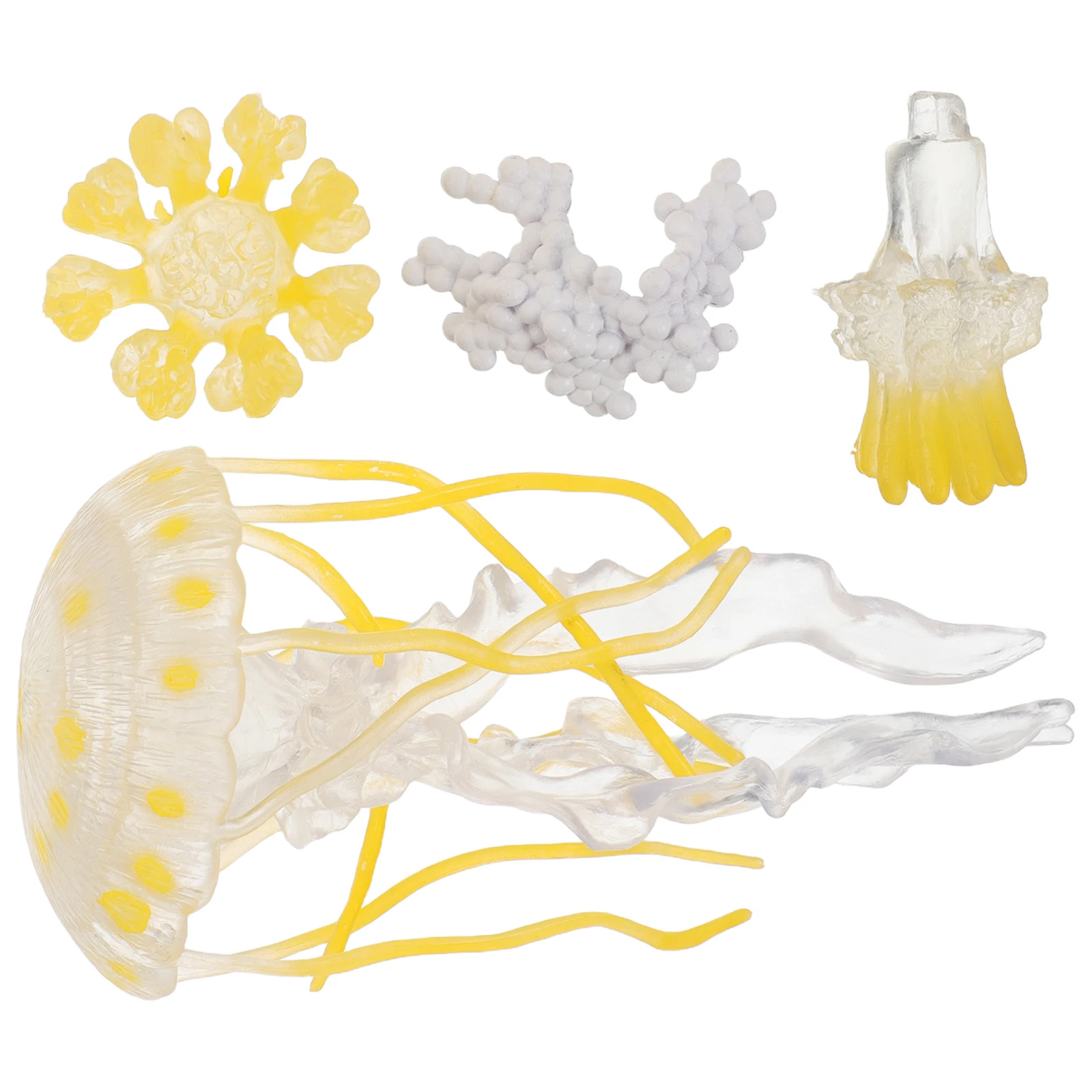 1Set LifeCycleFigures SimulatedAnimalModels PlasticOceanAnimals KidsLearningToy MarineBiologyEducation PreschoolScienceKits
1Set LifeCycleFigures SimulatedAnimalModels PlasticOceanAnimals KidsLearningToy MarineBiologyEducation PreschoolScienceKits