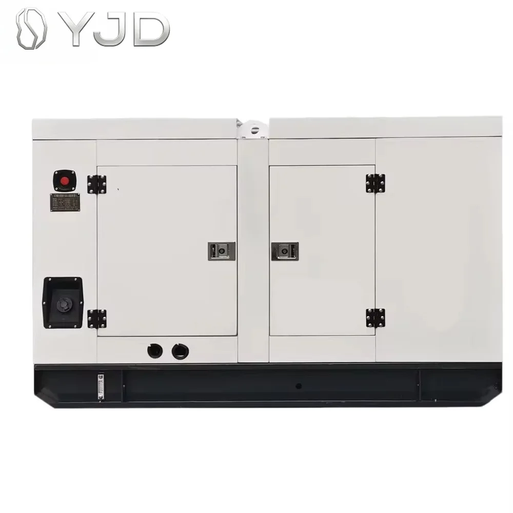30kw Silent diesel Generator Set 30kw Rica-rdo Engine K4100ZD R4105 with ATS
30kw Silent diesel Generator Set 30kw Rica-rdo Engine K4100ZD R4105 with ATS